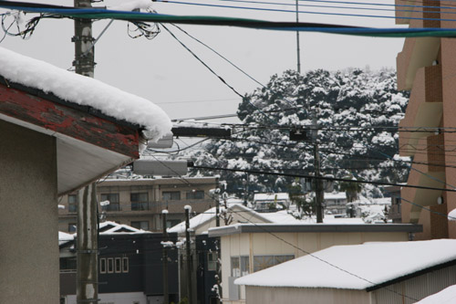 あけましておめでとうございます。